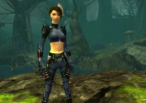 Guild Wars Factions EN Global