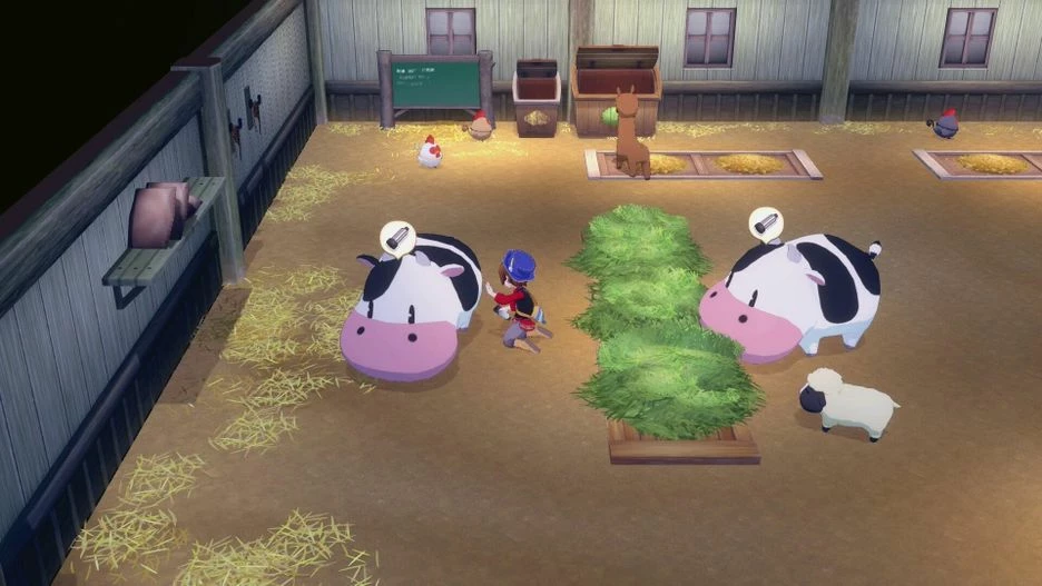 Lojë për Nintendo Switch Marvelous Europe Story of Seasons: Grand Bazaar Limited Edition, PEGI 3, set koleksionist