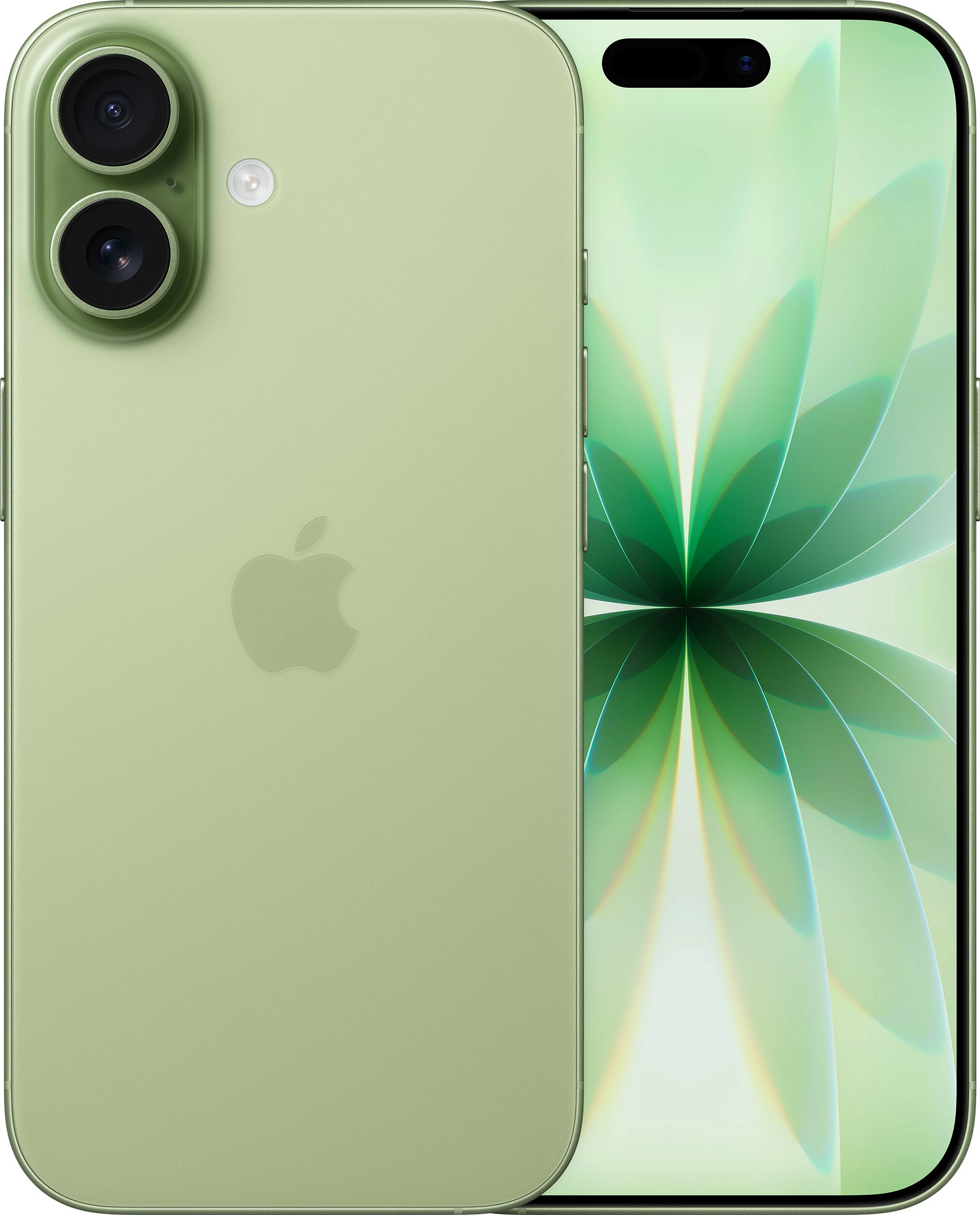 Celular Apple iPhone 17 256GB, Sage