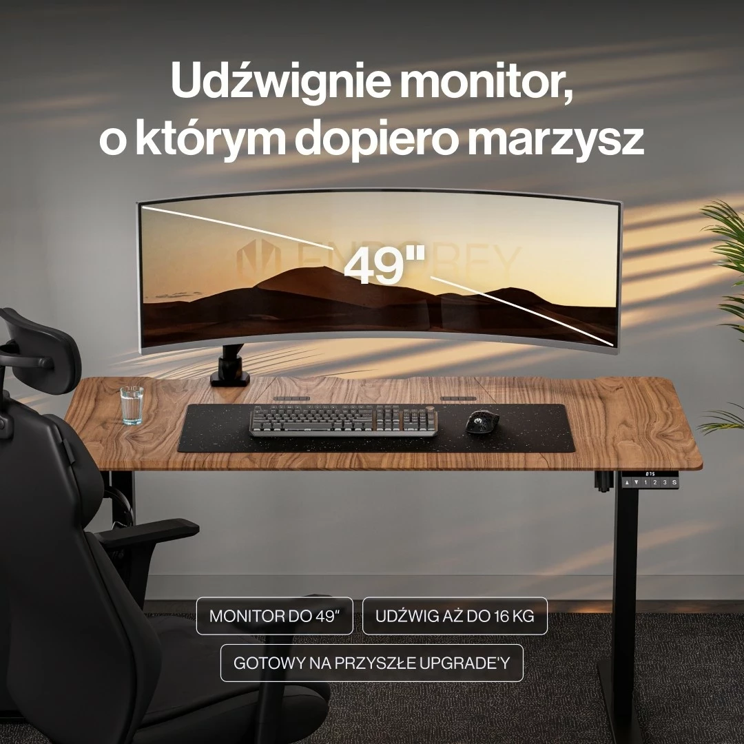 Mbajtës monitori Endorfy Atlas GS Pro Single, 49", i zi