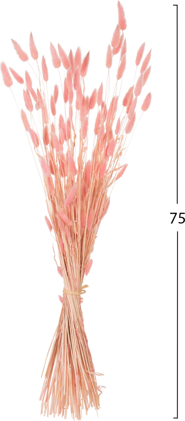 Buqetë dekorative e tharë, bisht lepuri, FH7960, rozë, 75H cm