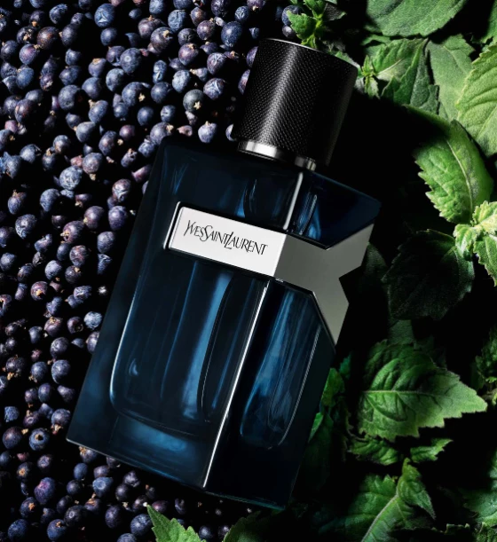Yves Saint Laurent Y Eau De Toilette Intense, 100 ml