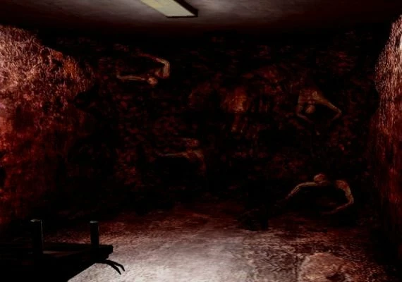 Blackbay Asylum EN Global