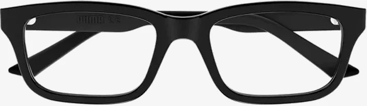 Korniza optike