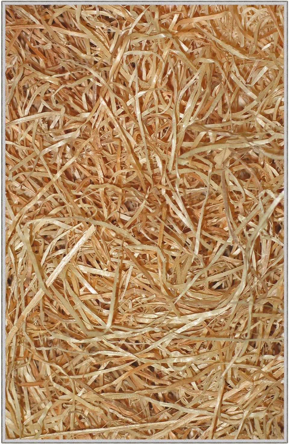 Qilim korridori, shumëngjyrësh, Conceptum Hypnose, Hmnt561, 80x150cm