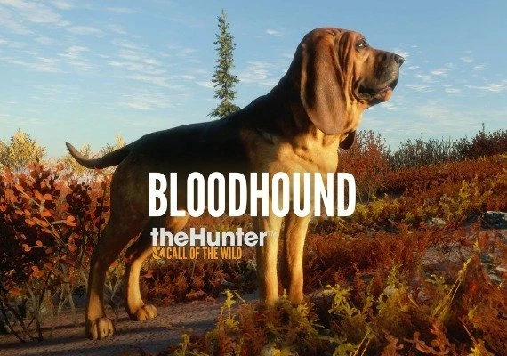 theHunter: Call of the Wild - Bloodhound DLC Global