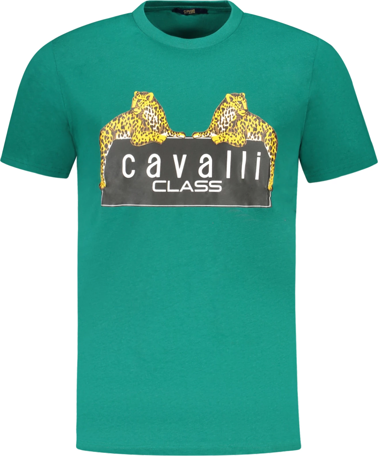 Maicë për meshkuj CAVALLI CLASS, e gjelbër