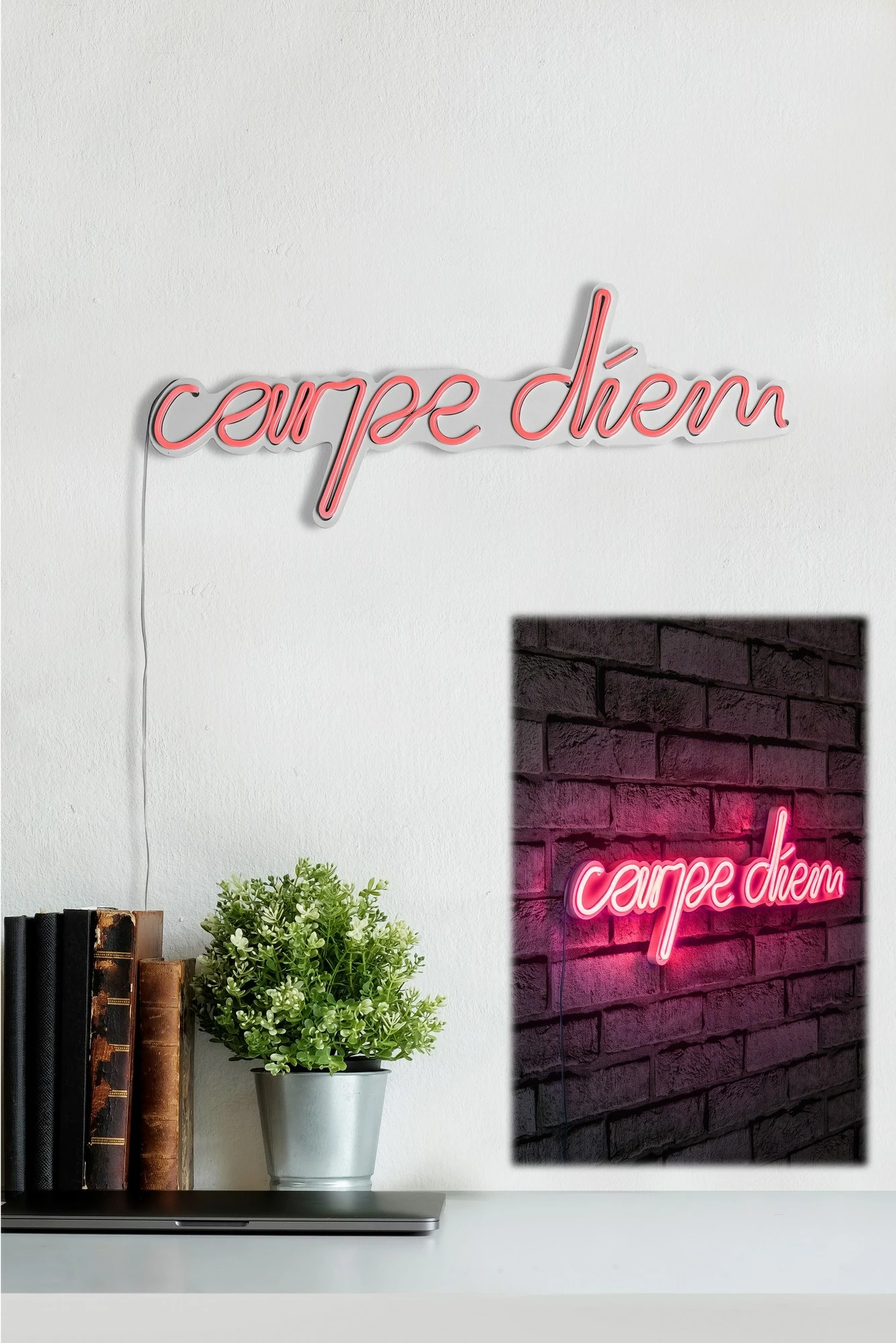Dekor dritash LED plastike, Carpe Diem, ngjyrë rozë