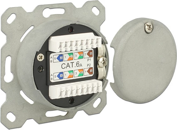 Prizë muri rrjeti DeLOCK, 2x RJ45 Cat.6A LSA, nën suva, e bardhë