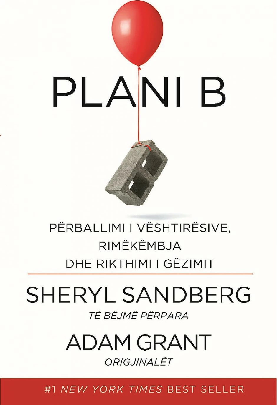 Plani B - Sheryl Sandberg