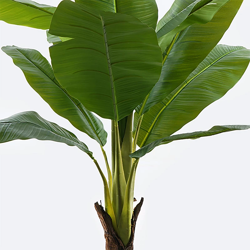 Bimë dekorative tropikale në vazo, Musa Inart, ngjyrë e gjelbër, 105x180cm