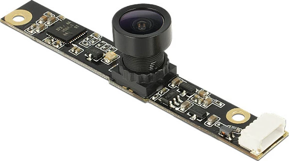 Modul kamerë DeLOCK 96367, USB 2.0, BSI, e zezë