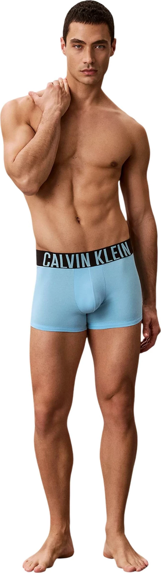 Të brendshme për meshkuj Calvin Klein Underwear TRUNK 3PK 000NB3608A, gri/zeza [Madhësia: L]