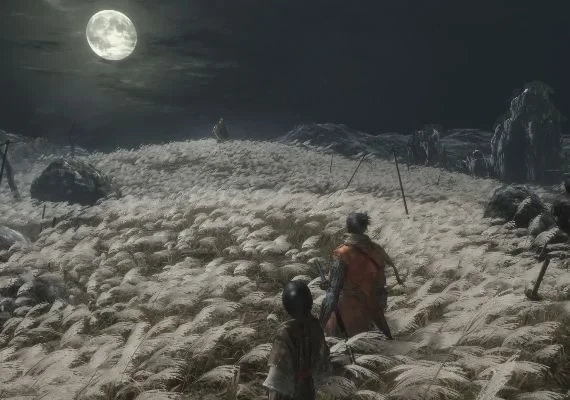 Sekiro: Shadows Die Twice EN Global