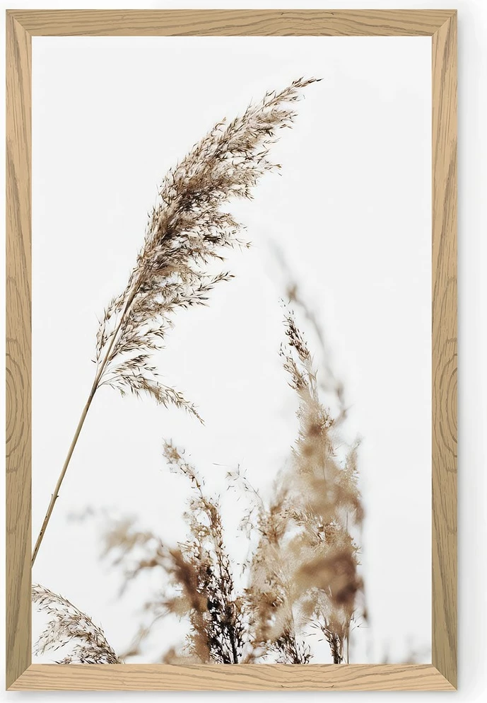Pikturë dekorative, Wallity, Tekhammdf112, shumëngjyrëshe, 33x48cm