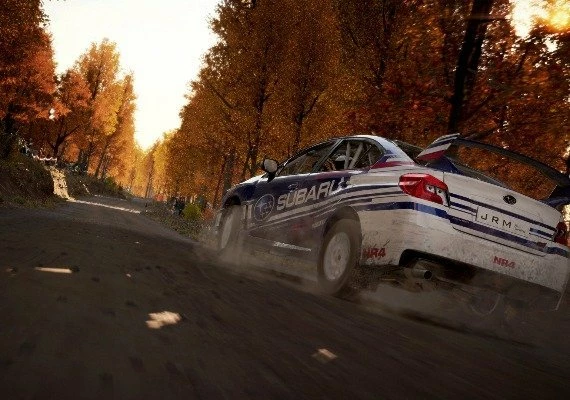 DiRT 4 - Hyundai R5 Rally Car DLC EN/DE/FR/IT/ES Global