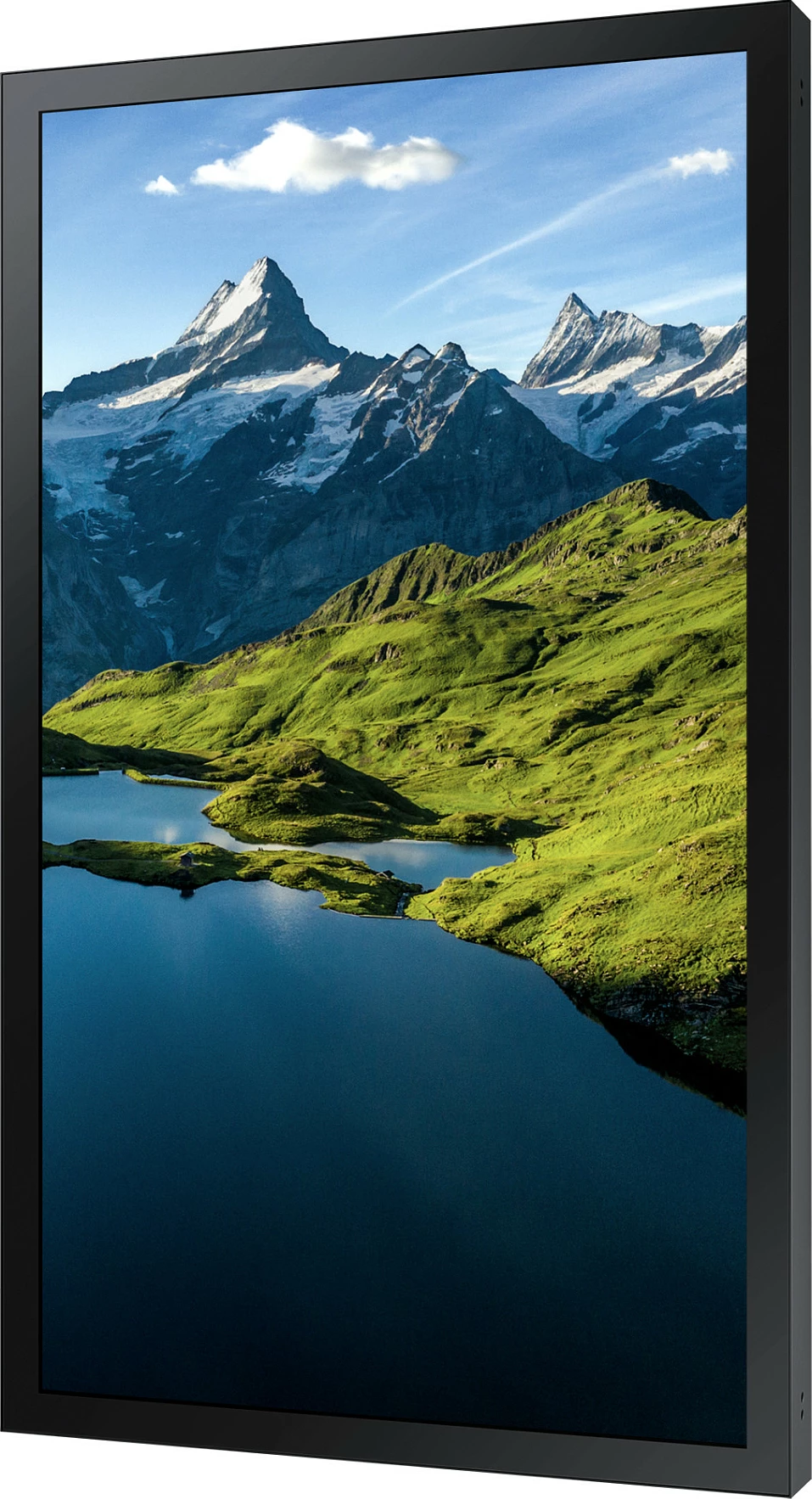 Ekran digital signage Samsung OH75A, 75", 4K UHD, 3500 nit, 24/7, i zi