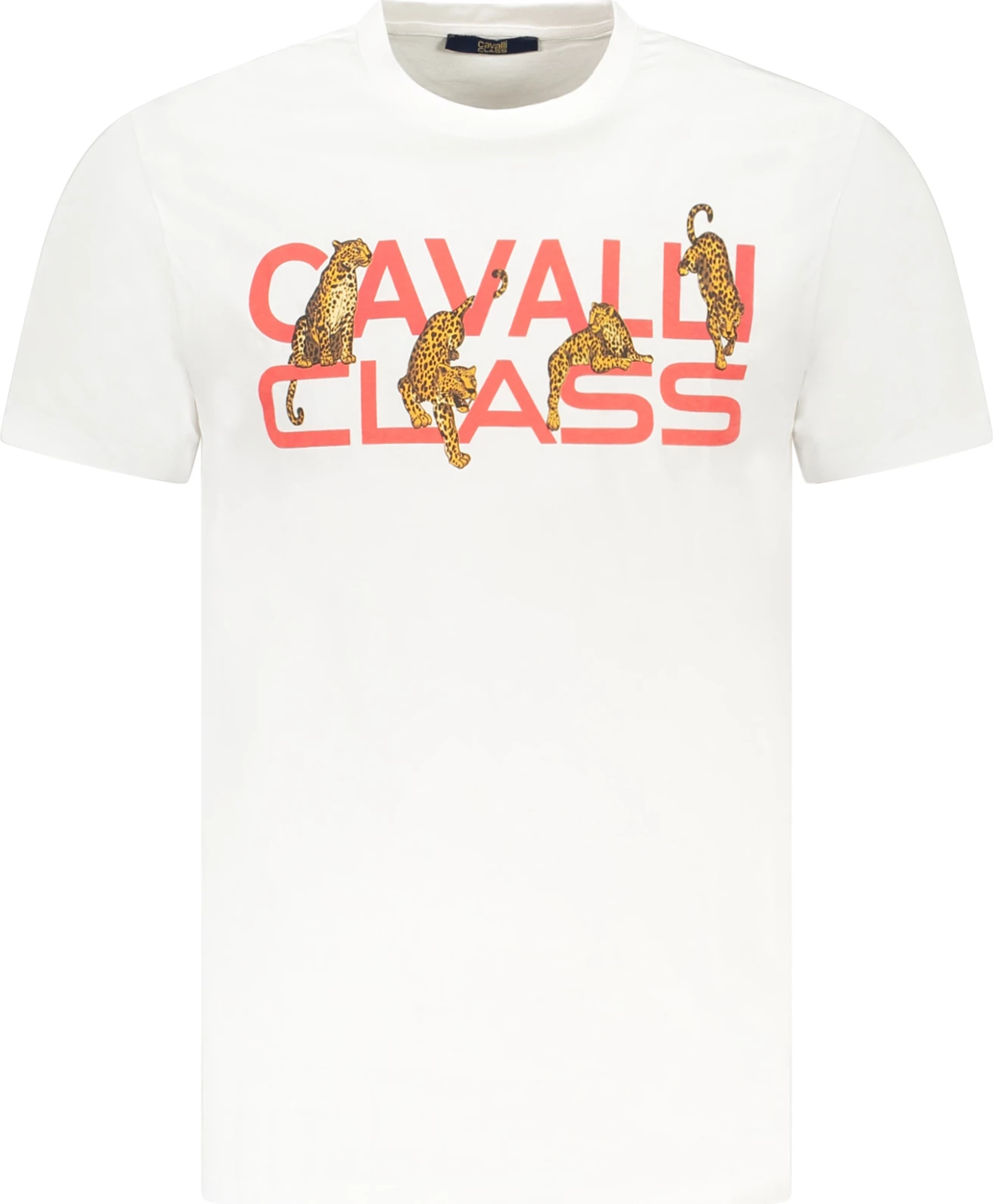Maicë për meshkuj CAVALLI CLASS, e bardhë
