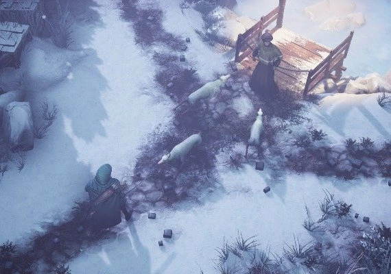 Winter Ember Global