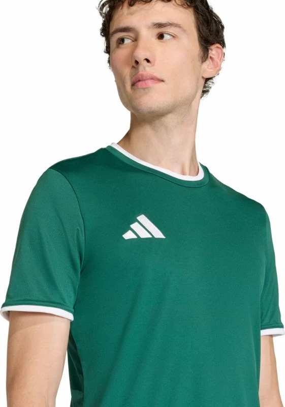 Fanellë meshkuj adidas Entrada 26, e gjelbër [Madhësia: XL]