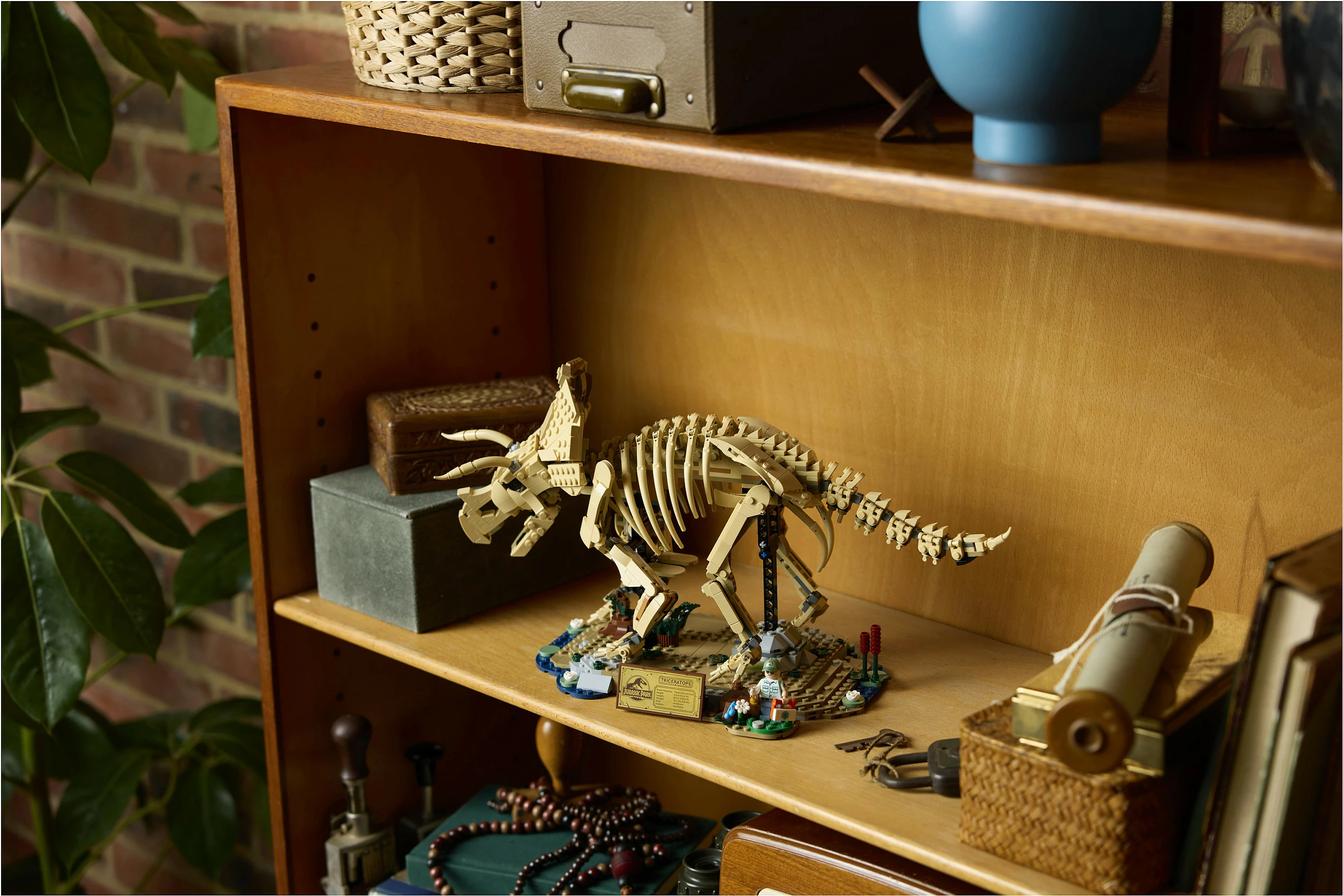 Set ndërtimi LEGO 77985 Dinosaur Fossil Triceratops, 1154 copë, 18+, multikolor