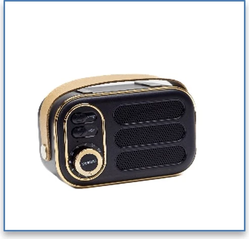 Sonit Mini Altoparlant  me bluetooth - DW13