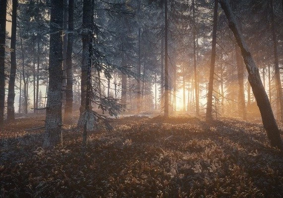 theHunter: Call of the Wild - Medved-Taiga DLC Global