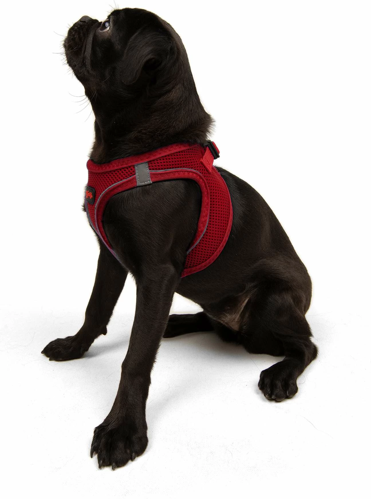 Parzmore për qen, Paws & Whiskers, Air-Mesh, e kuqe