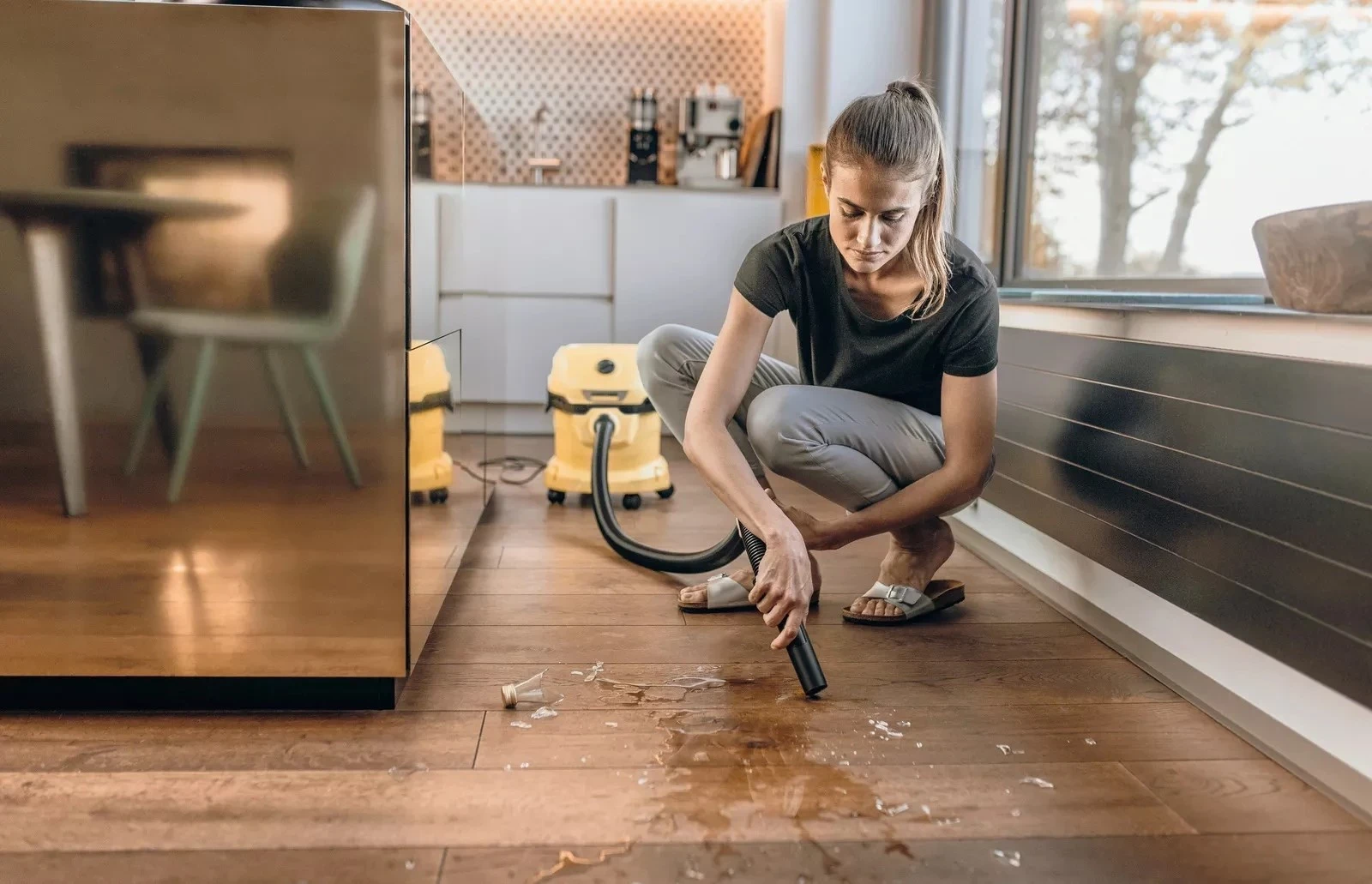 Aspirator për tharje dhe lagështi Kärcher WD 2 Plus, 1000 W