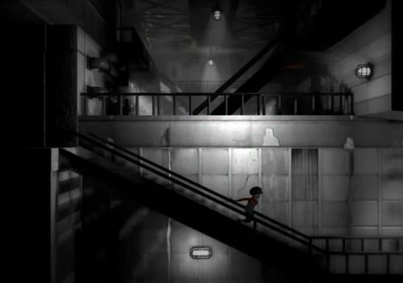 MonoChroma Global
