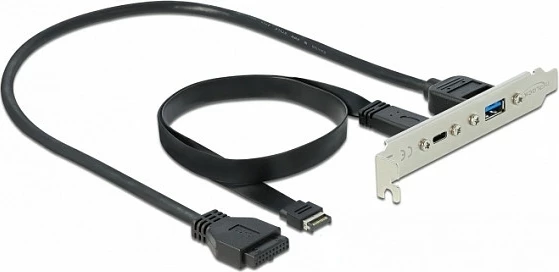 Braket PCI DeLOCK USB 3.2 Gen 2, 10 Gbps, 1x USB-C + 1x USB-A, kabllo 0.5 m, argjendtë