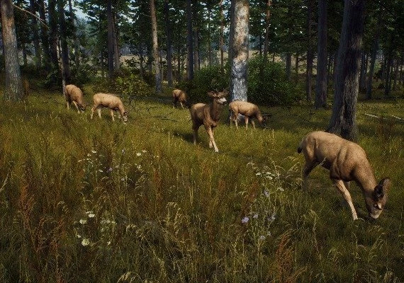 Way of the Hunter Elite Edition Global