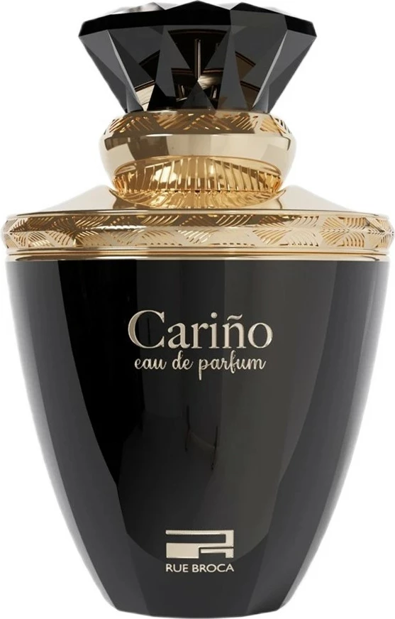 Eau de Parfum për meshkuj Rue Broca Carino Black 100ml