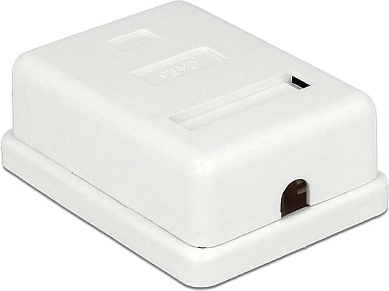 Prizë rrjeti DeLOCK 86169, RJ-45, 1 portë, montim sipërfaqësor, e bardhë