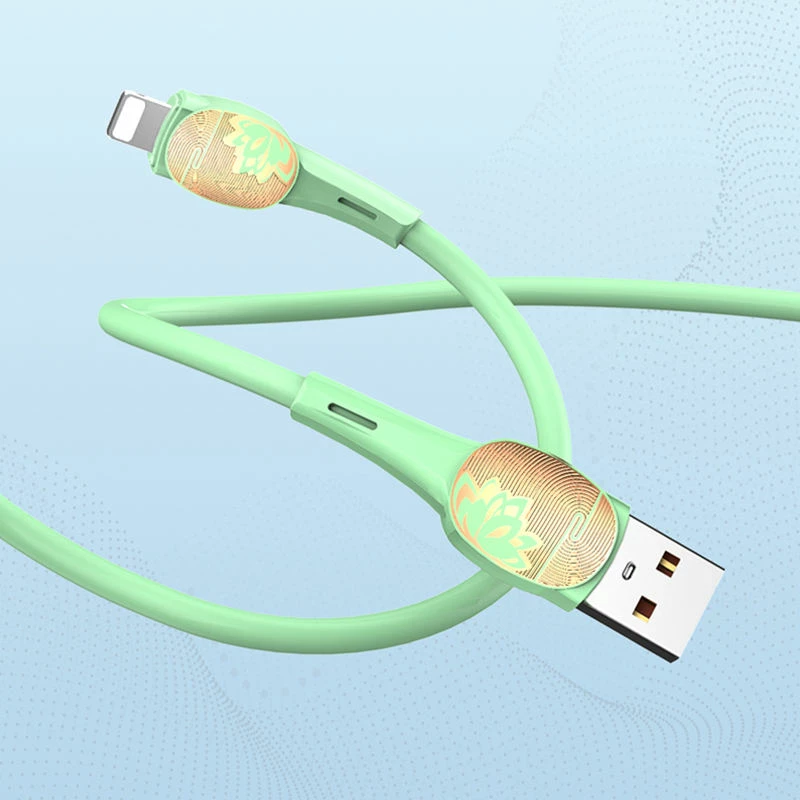 Kabllo E Karikimit LDNIO LS832 (Gjelbërt)