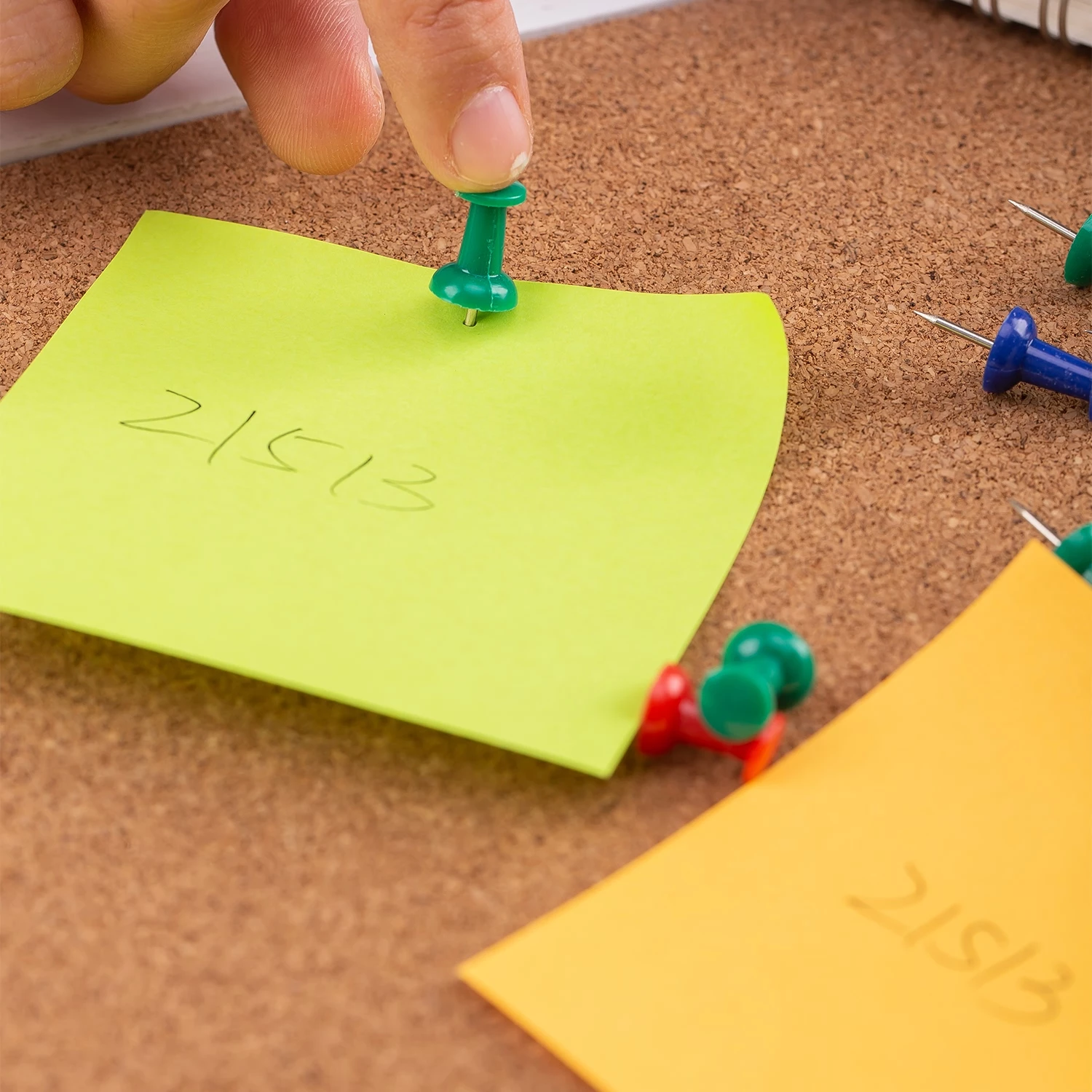 DELI THUMBA 0021 1/10