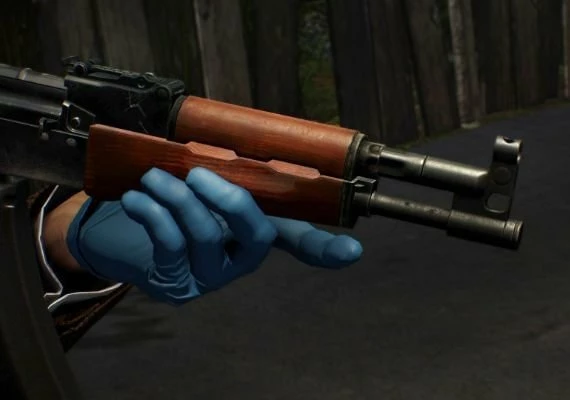 Payday 2: Gage Mod Courier DLC EN/DE/FR/IT/ES Global