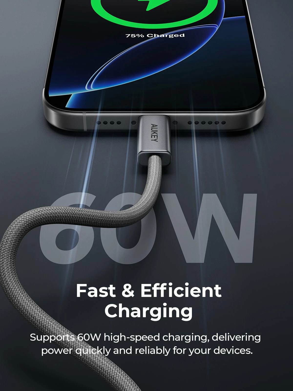 Kabllo USB-C në USB-C Aukey CB-DCC061 1 m 60W, gri