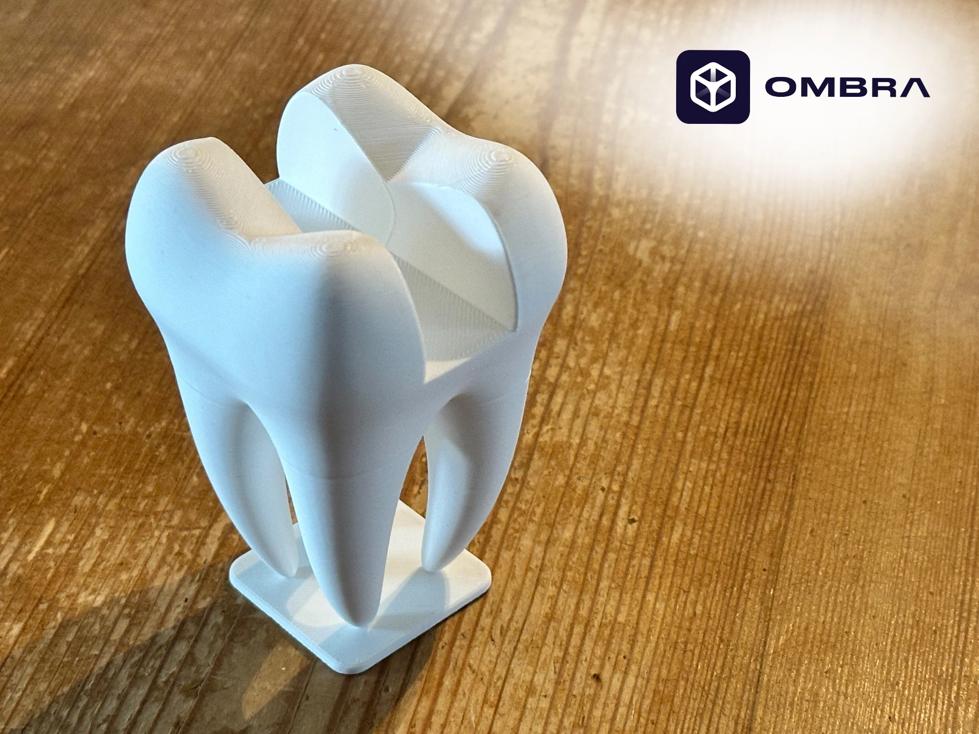 Mbajtëse për Vizitkarta Në Formë Dhëmbi, e bardhë