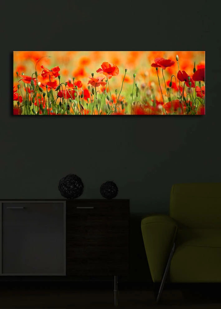 Pikturë dekorative me drita LED, shumëngjyrëshe, Wallity, 3090İACT-13, 30x90cm