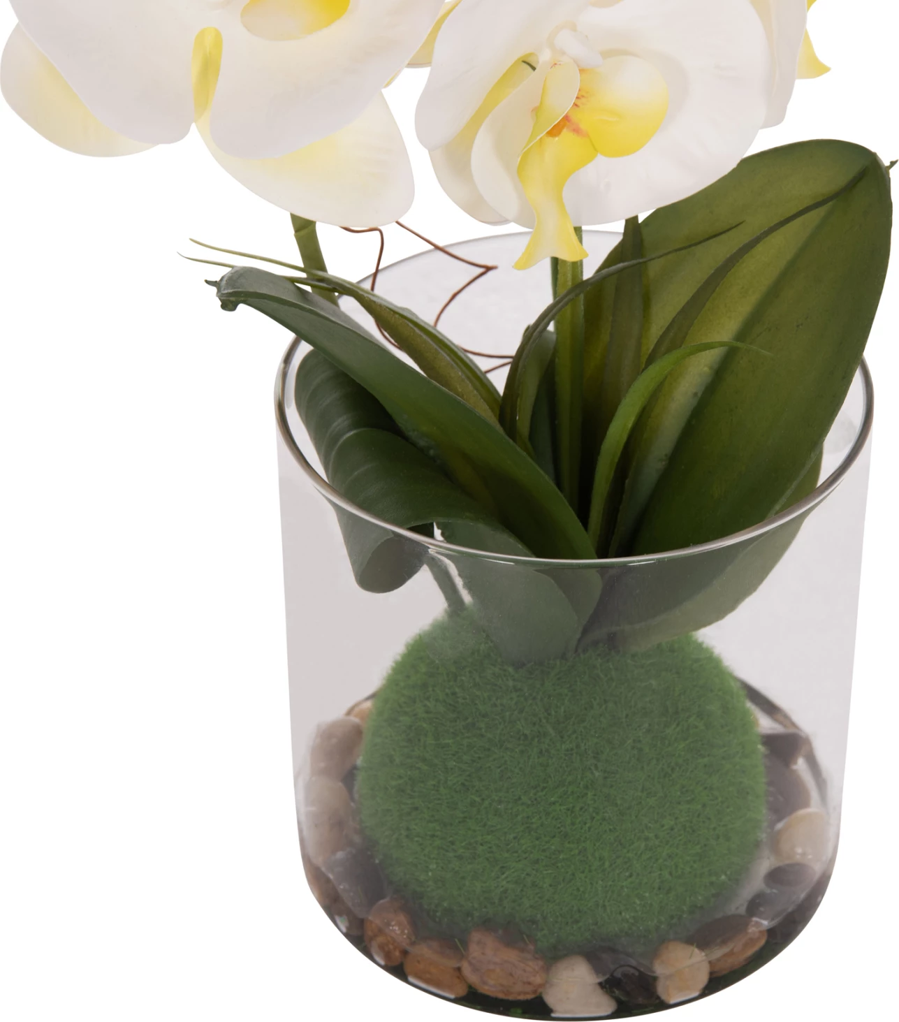 Lule dekorative sintetike Phalaenopsis në vazo qelqi, 12x24x30cm
