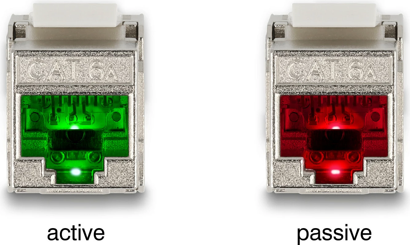 Modul Keystone DeLOCK RJ45 në LSA Cat6A, me LED, i sheshtë, argjend/bardhë