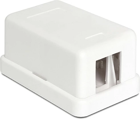 Kuti Keystone DeLOCK 86226, 1 modul, e bardhë
