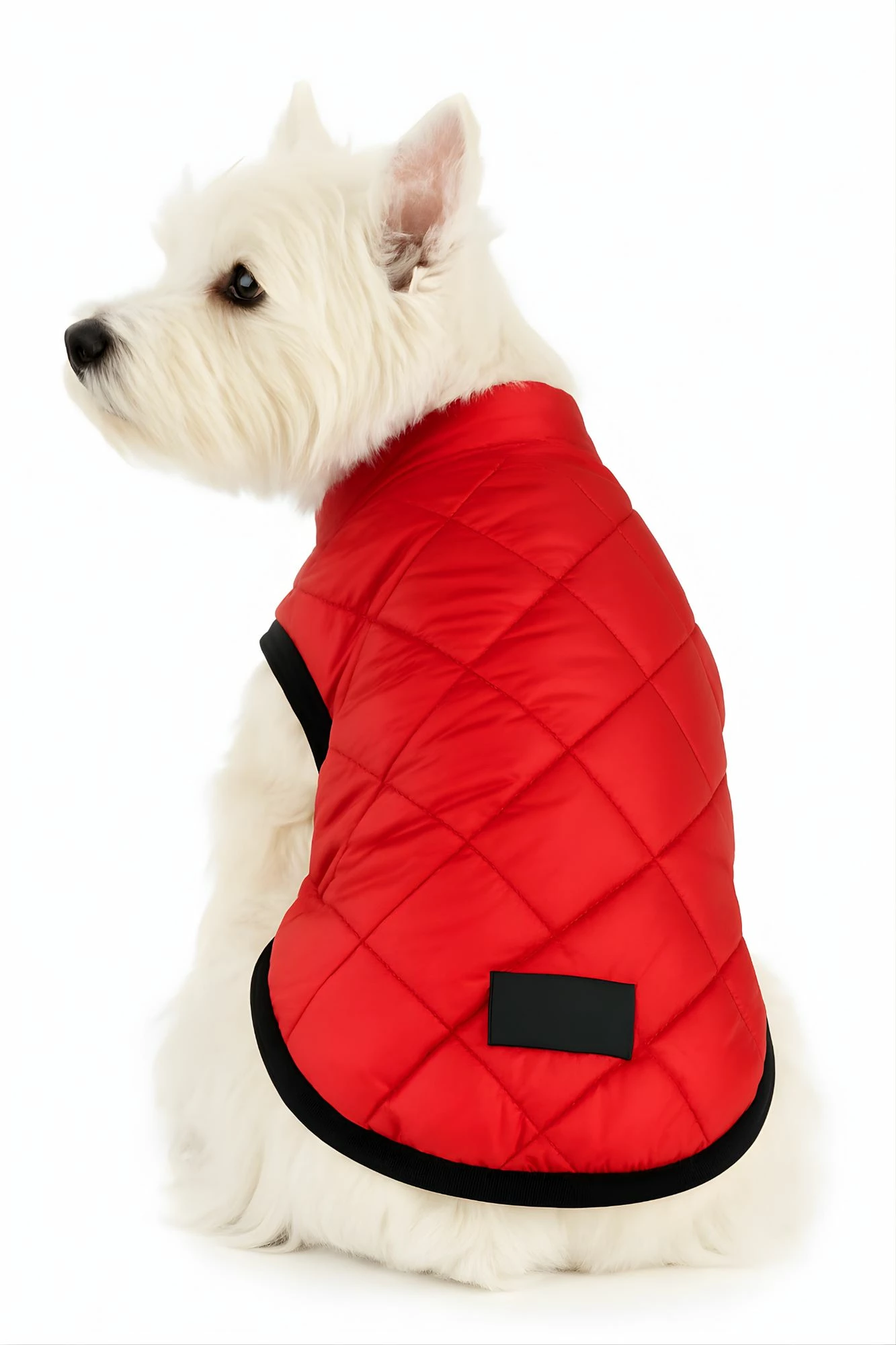 Hudi për qen, Paws & Whiskers, e kuqe, Redjacket