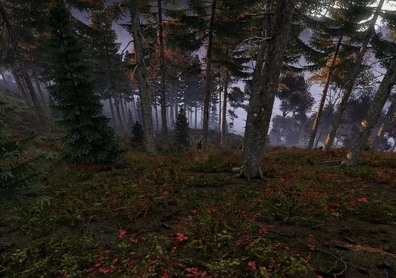 DayZ Cool Edition EN Global