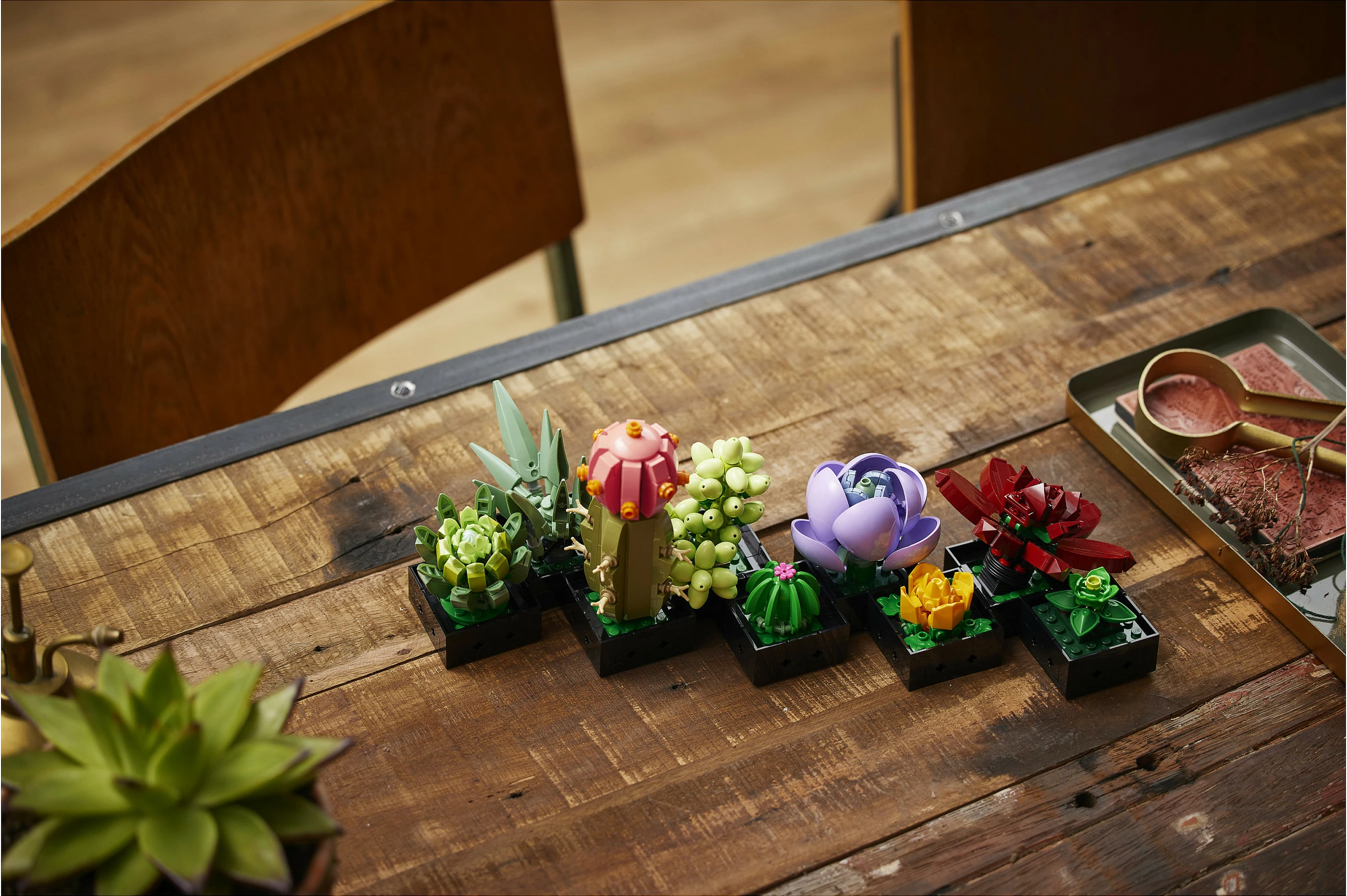 Set ndërtimi LEGO Botanicals Succulents 10309, 771 copë, 18+, multikolor