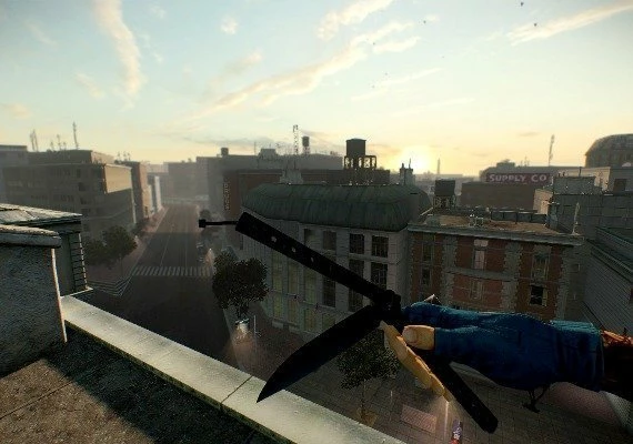 PAYDAY 2 - Sydney Mega Mask Pack DLC EN/DE/FR/IT/NL/RU/ES Global