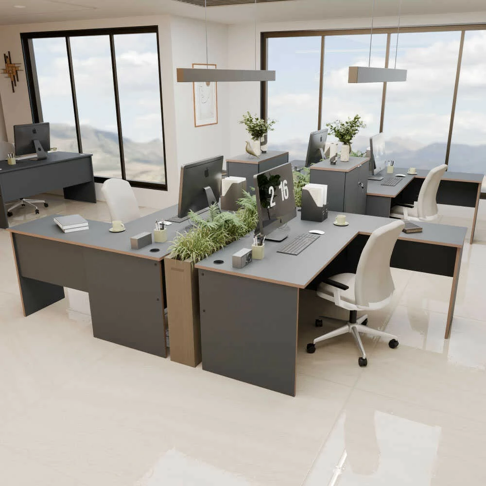 Tavolinë pune Hanah Home, Rms-320-Ax-1, anthracite dhe lis, 160x75x144cm