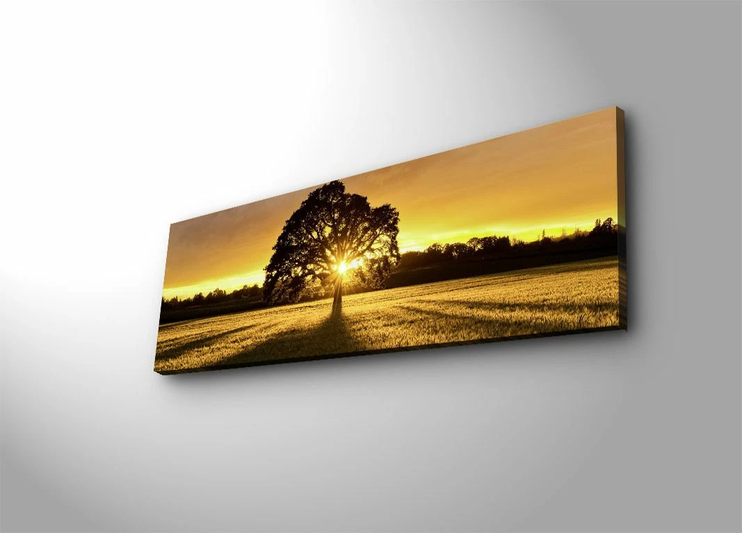 Pikturë dekorative në kanavacë me drita LED, shumëngjyrëshe, Wallity 3090DACT-68, 30x90cm