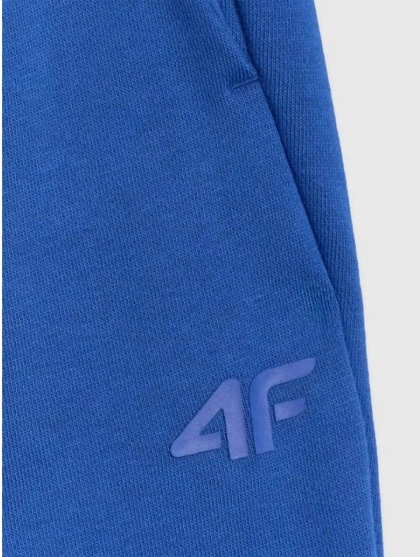 Pantallona sportive meshkuj 4F 4FWAW25TTROM1272